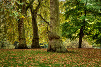 BZ2R2609_tonemapped_Sharp