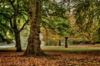BZ2R2612_tonemapped_Sharp
