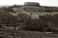 Farm Fields I - Nanteuil, France