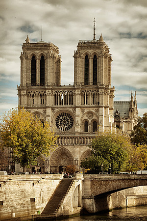 Notre Dame Cathedral II - Paris, France