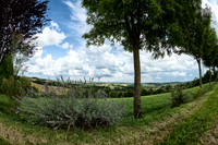 View to Bertric - Lusignac,  France