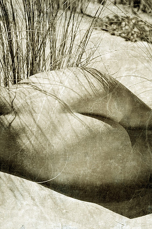 9B4X2666.2_Sharp