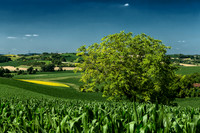Towards Villebois-Lavalette - St Paul LIzonne, France