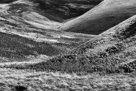 Moorland - Coquetdale, England