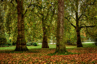 BZ2R2622_tonemapped_Sharp