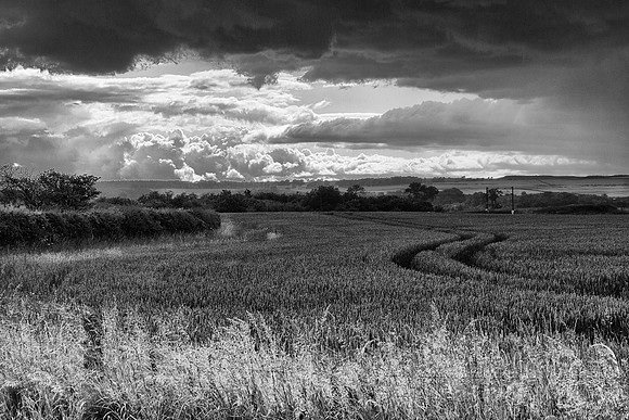 Near the Town III - Bamburgh, England