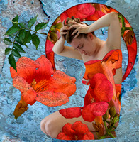 Hedgerow_2-Recovered_VERSION_THREE_FLAT_NO_SHARP_7_GSharp
