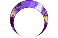 MOONS_2