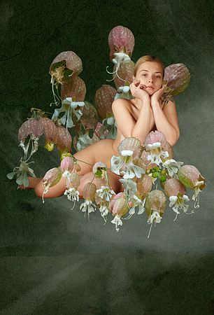 Cloud Life - I