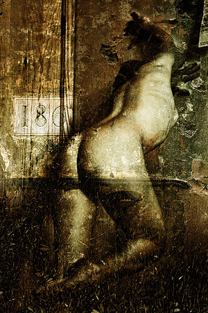 9B4X6142_Sharp
