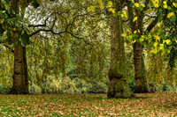 BZ2R2608_tonemapped_Sharp