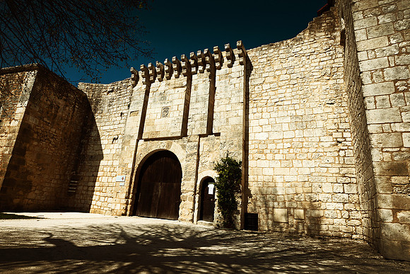 Chateau Entrance - Villebois-Lavalete, France
