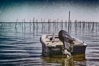"Fanny" - Le Canon, France