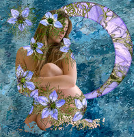 Hedgerow_2-Recovered_VERSION_THREE_FLAT_NO_SHARP_8_GSharp