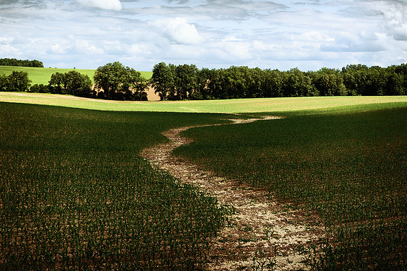 Path - Near Saint Cybard, France