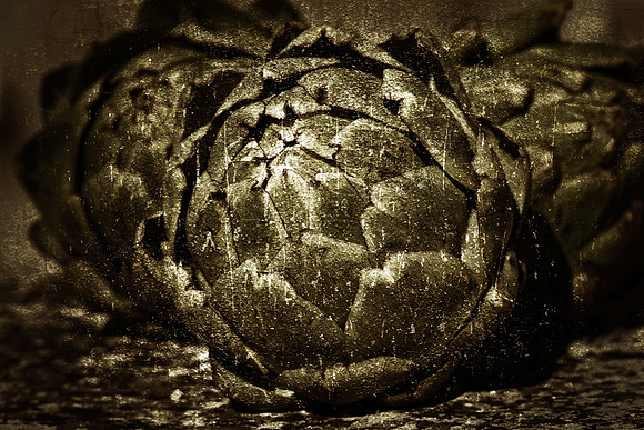 9B4X6253_3_Sharp
