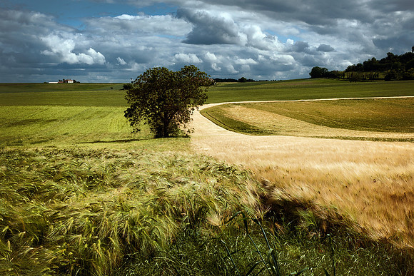 Barley Fields Bales of Straw - Near Saint Cybard, France