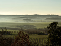 Afternoon Mist - Villebois-Lavalette