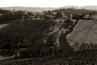 Farm Fields II - Nanteuil, France