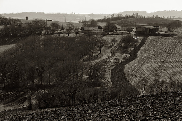 Farm Fields II - Nanteuil, France