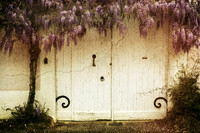 White Door and Wisteria - Vanxains, France