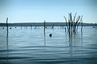 Oyster Beds - Le Canon, France