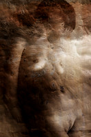 9B4X2995_Sharp