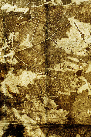 9B4X6326_1.1_Sharp