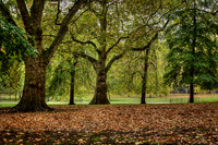 BZ2R2617_tonemapped_Sharp