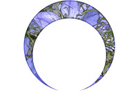 MOONS_8