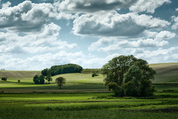 Pastrol Scene - Near Auriac, France